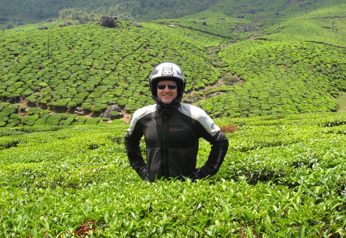 tea plantation new